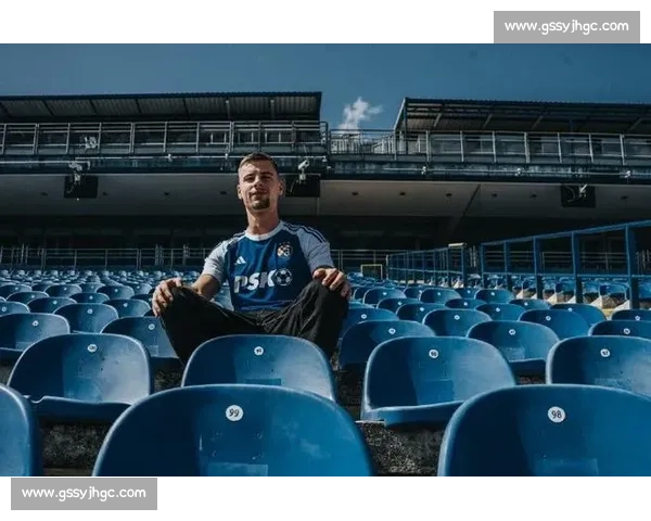 官方：拜仁前锋维多维奇 120 万欧加盟萨格勒布迪纳摩，身披 10 号剑指双冠